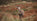 Vicarious Liability and Changes to Hare Season and Deer Act