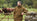 Waterproof smocks - Why choose a smock?