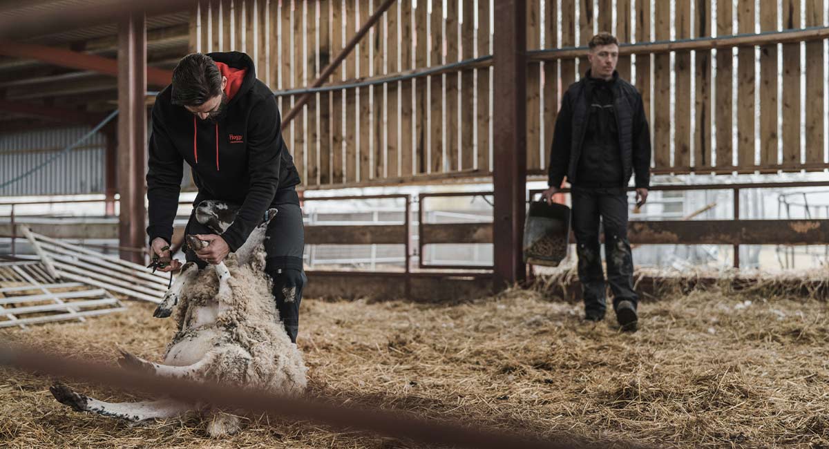 Farm & Field Work Essentials for February & March