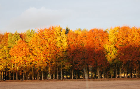 Autum / Winter Clothing