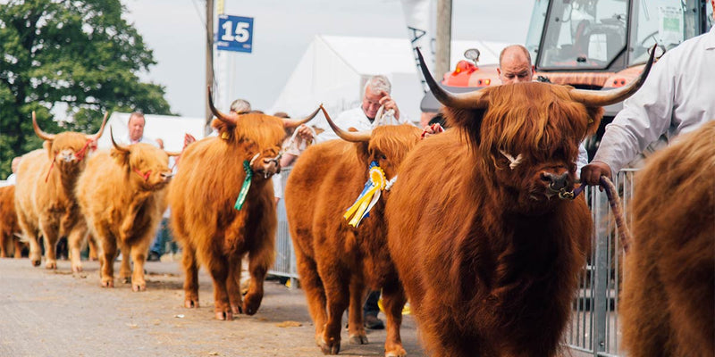 How to dress for a country show: a practical guide to looking the part all day | Image from the www.royalhighlandshow.com