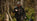 Outstanding hunting range from Deerhunter