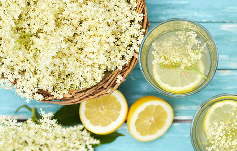 Elderflower Cordial