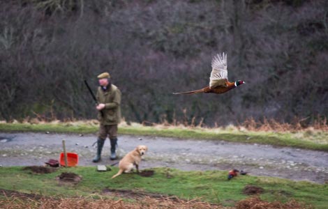 A Father's Advice - Shooting Poem