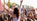 Festival Season Favourites