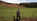 Game Shooting UK Guide