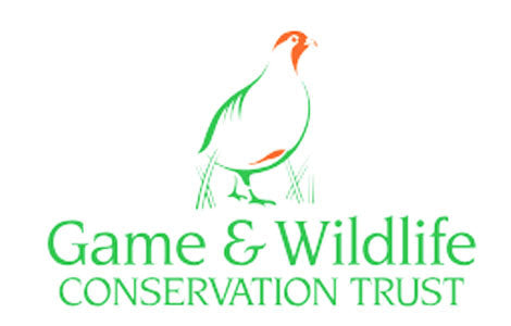 Tracking and Protecting Woodcock