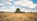 Harvest Season: Workwear for Long Days in the Field