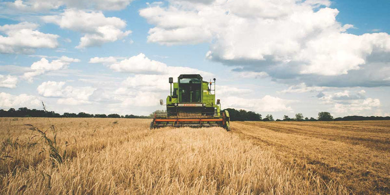 Farmer in workwear during late harvest