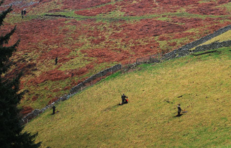 Holylee Pheasant Shooting
