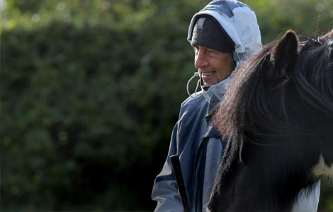 Horse Time - Equine Therapy