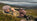 A September Stag: Our Stalking Day at Mar Lodge