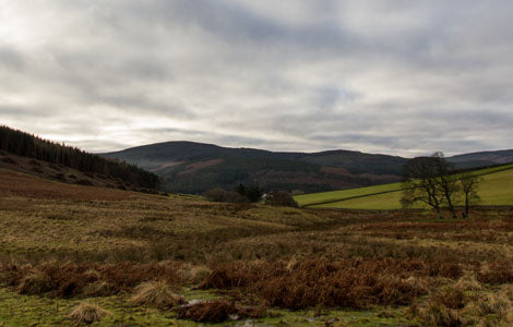 The Importance of Grouse Moors for Ecology