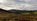 The Importance of Grouse Moors for Ecology