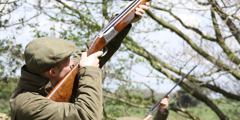 ArdMoor's tips for pigeon shooting over peas or oilseed rape