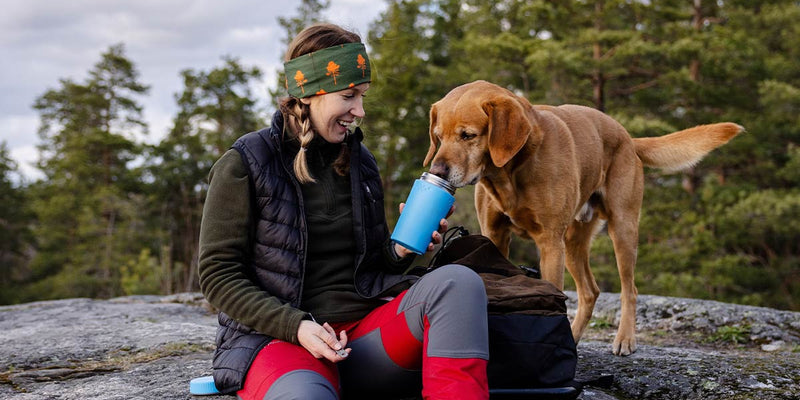 Professional dog walker in waterproof jacket walking multiple dogs on a muddy countryside path in changeable spring weather
