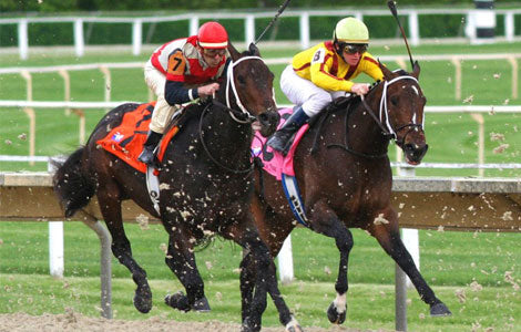 Women's winter race day outfits