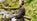 ArdMoor's bestselling shooting jackets