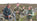 Tipping A Gamekeeper