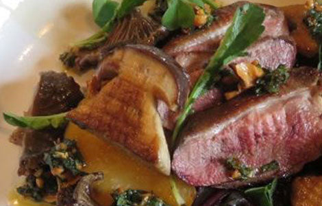 Mallard & wild mushrooms