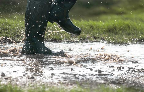 Welly Boot Care Guide