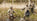 Responsible Wetland and Wildfowl Shooting