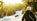 Essential Winter Wear Clothing