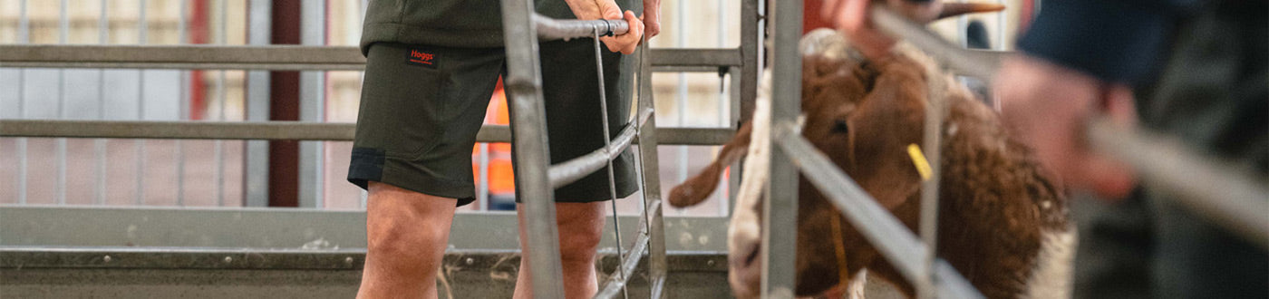 Farming Shorts from ArdMoor