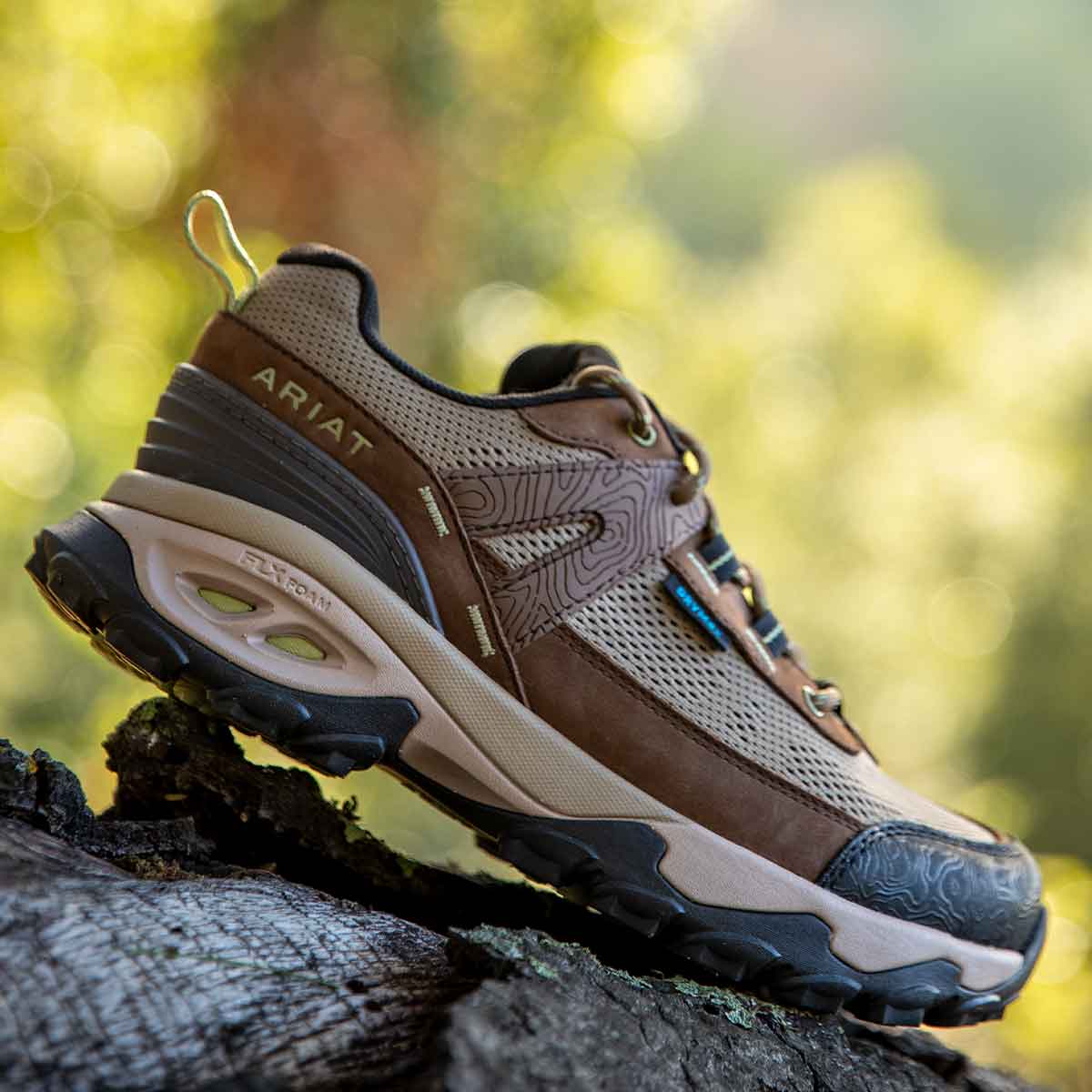 Ariat Women's Traverse Low Waterproof Hiking Shoes