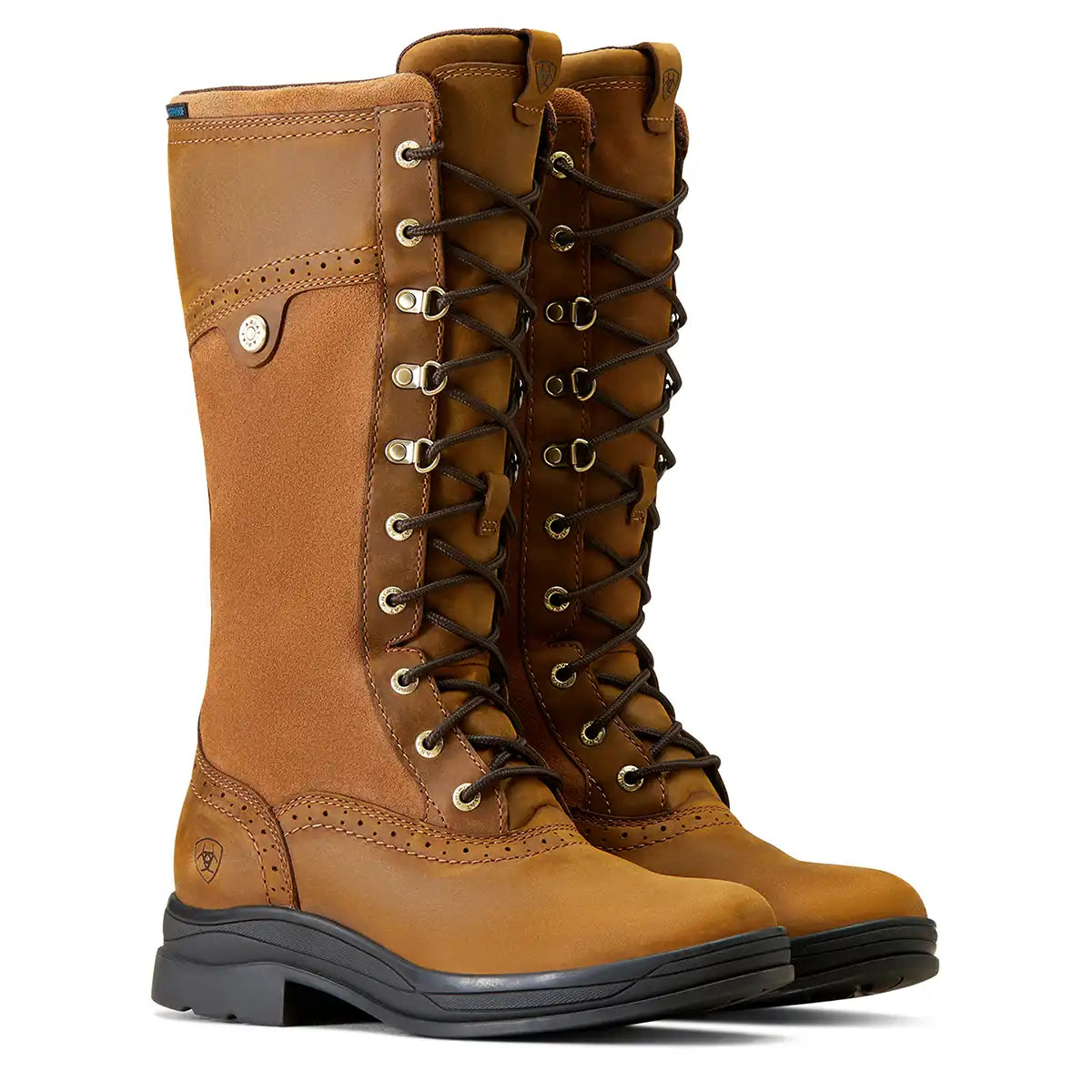 Bottes d'équitation imperméable femme Ariat Wythburn II H2O | Sport is good