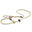 Bisley Deluxe 6mm Dog Lead