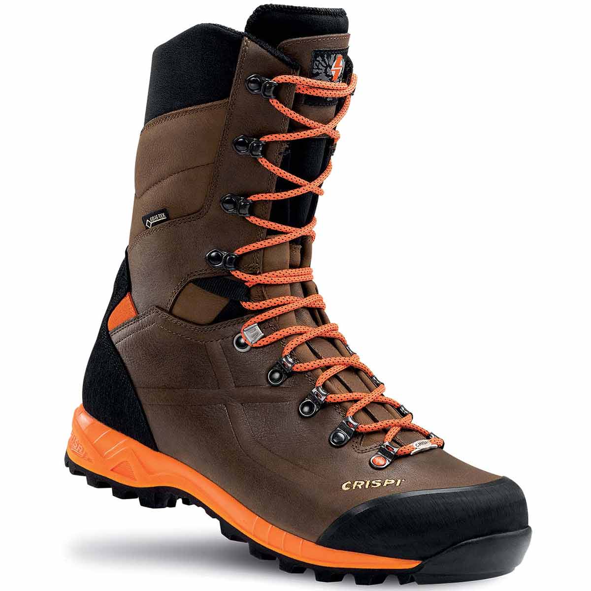 Crispi Titan GTX Boots
