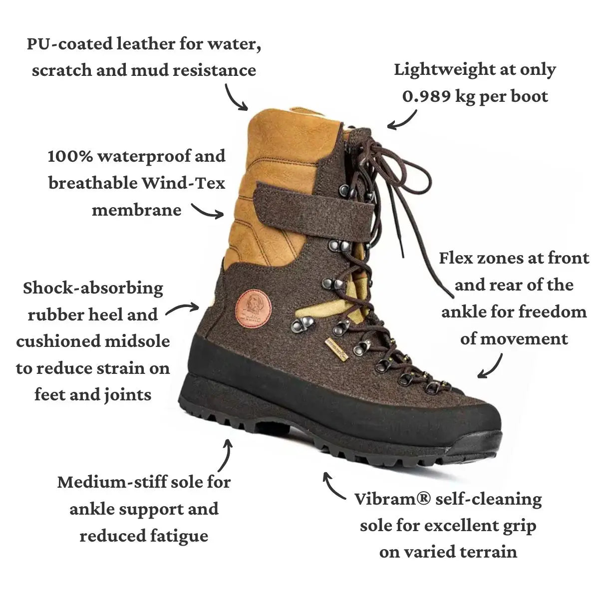 Dedito Moorland - Infographic