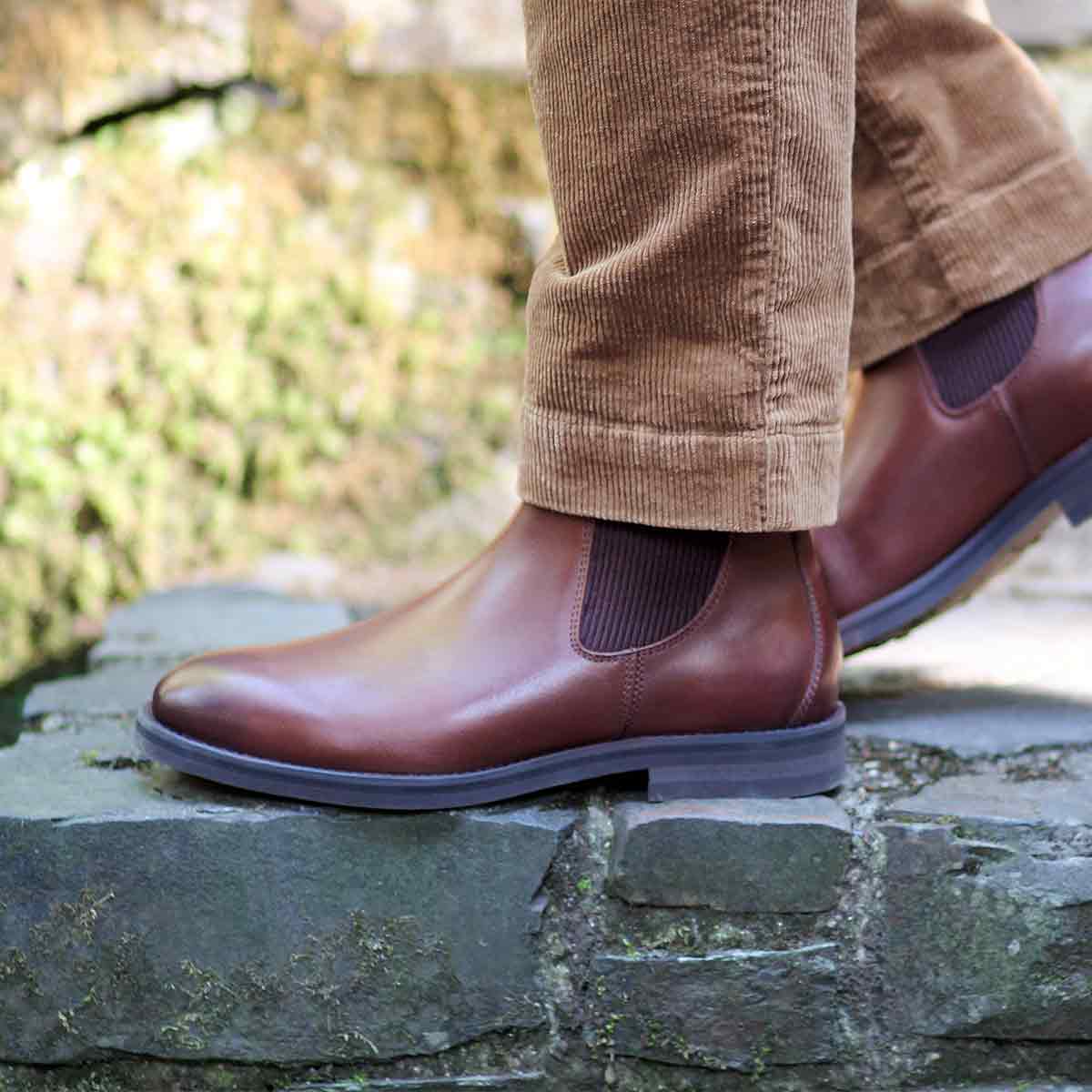 Dubarry Kells Men's Chelsea Boot - Brown - Model