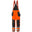 Helly Hansen Alna 2.0 Winter Insulated Construction Pant Class 2