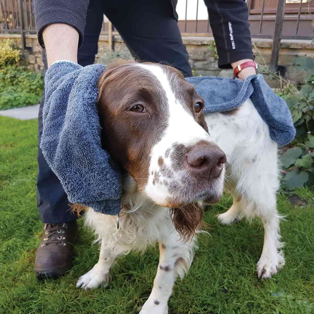 Henry Wag Pet Towel Glove