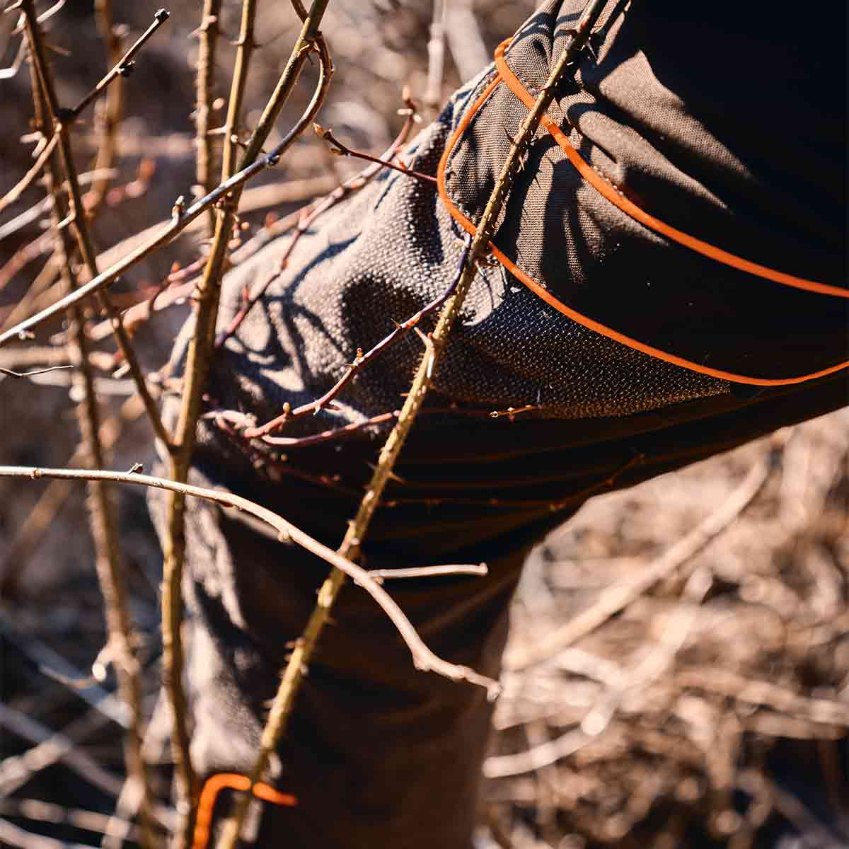 Pinewood Thorn Resistant Trousers - Model