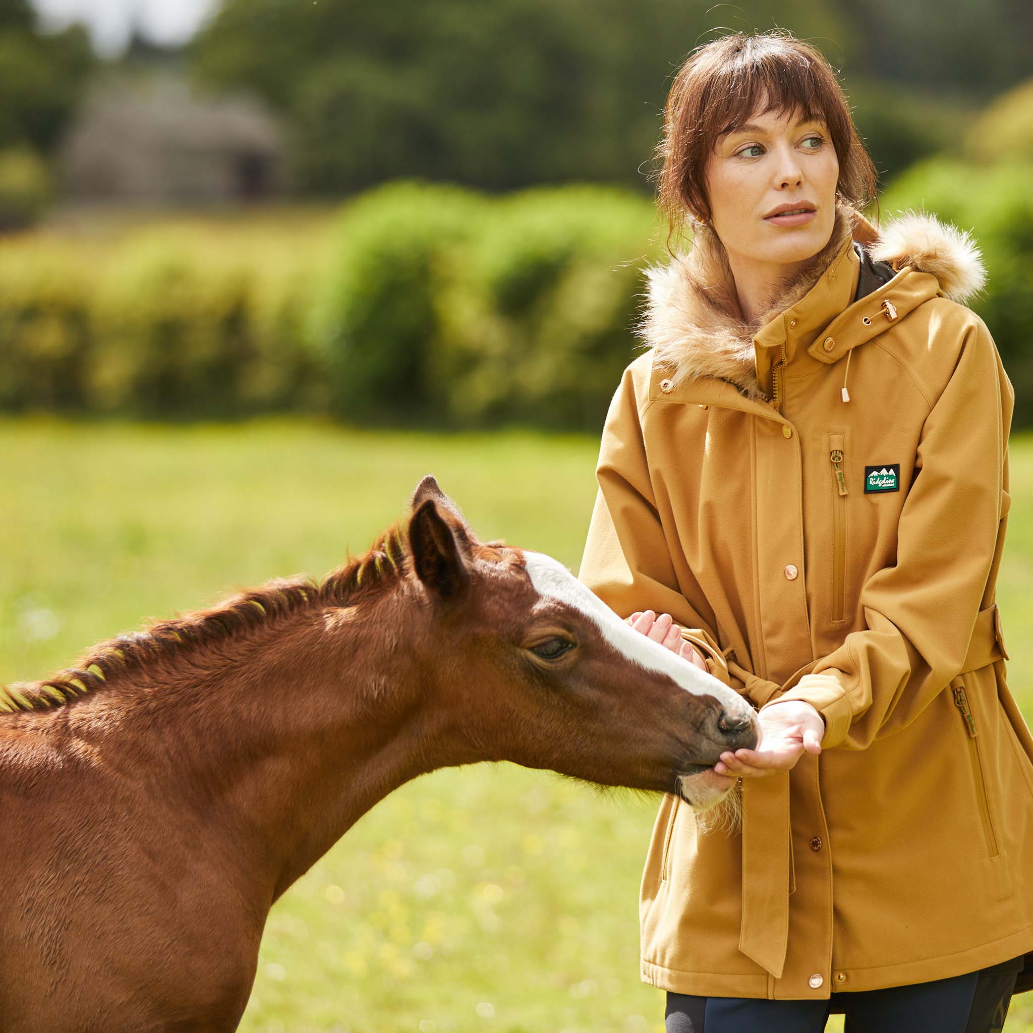 Ridgeline Ladies Jacket in Monsoon Nordic style- ochre lifestyle