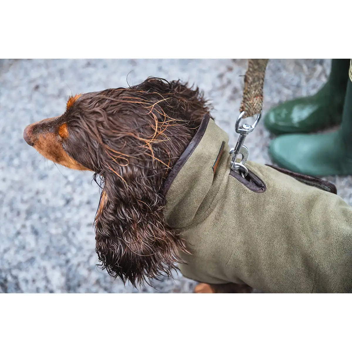 Hoggs of Fife Stenton Fleece Dog Coat - Lovat- Neck Close Up