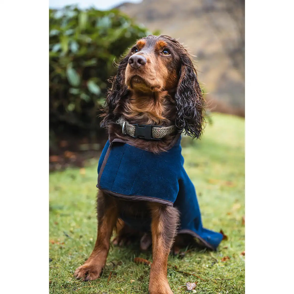 Hoggs of Fife Stenton Fleece Dog Coat - Navy - Front 