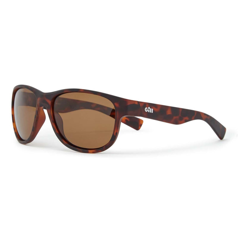 Gill Coastal Sunglasses - Tortoiseshell/Amber