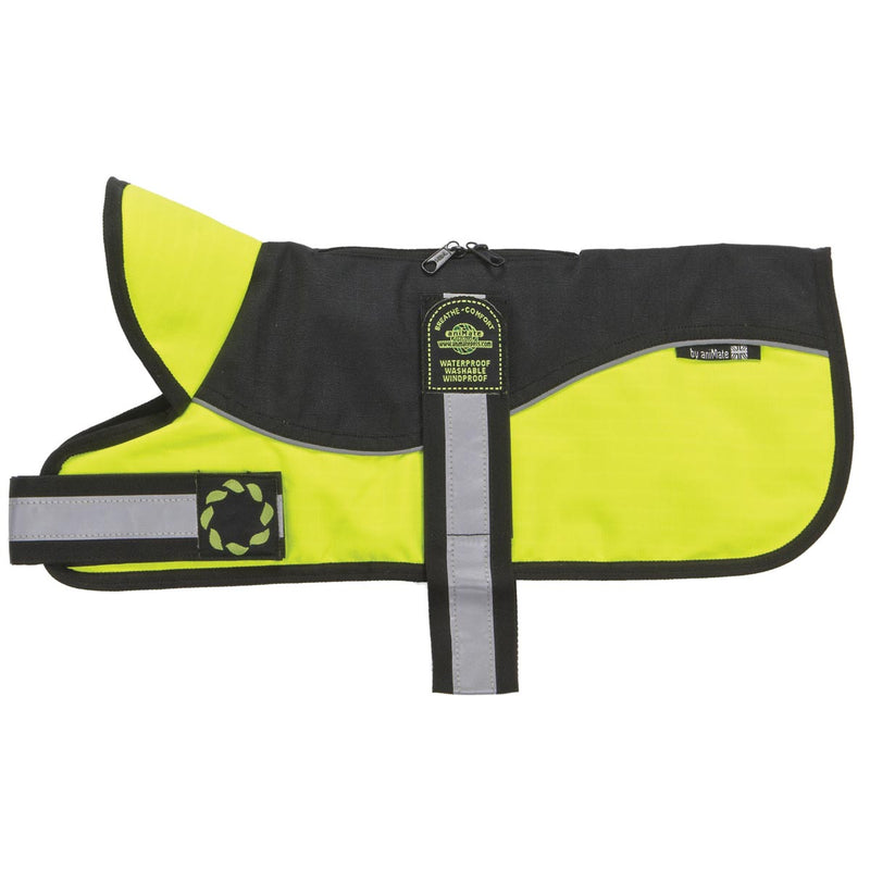 Padded Harness Dog Coats